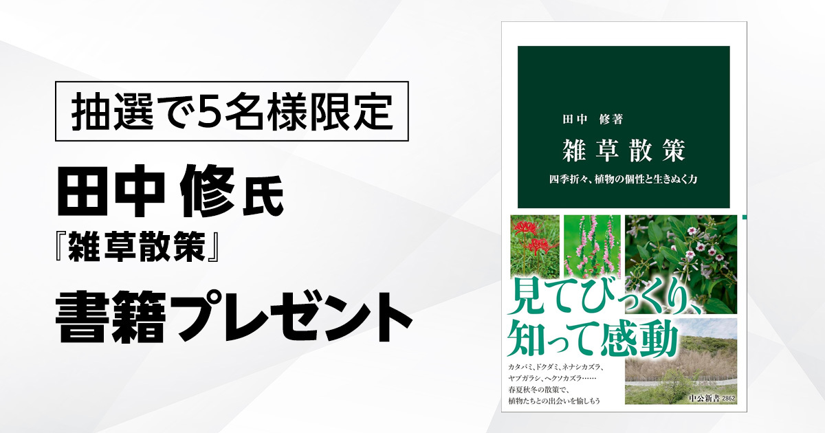 【応募券】『雑草散策』書籍プレゼント