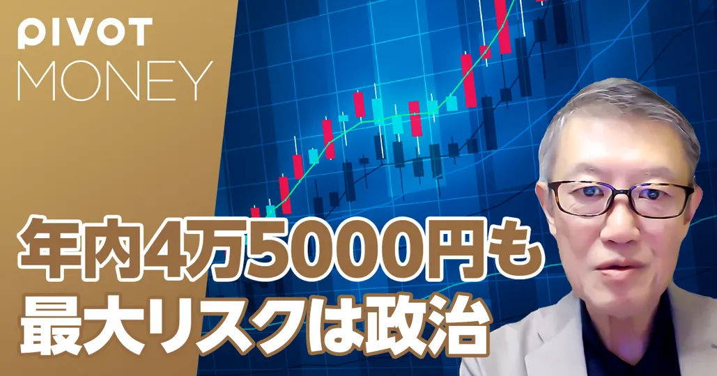 年内4万5000円も。最大のリスクは政治