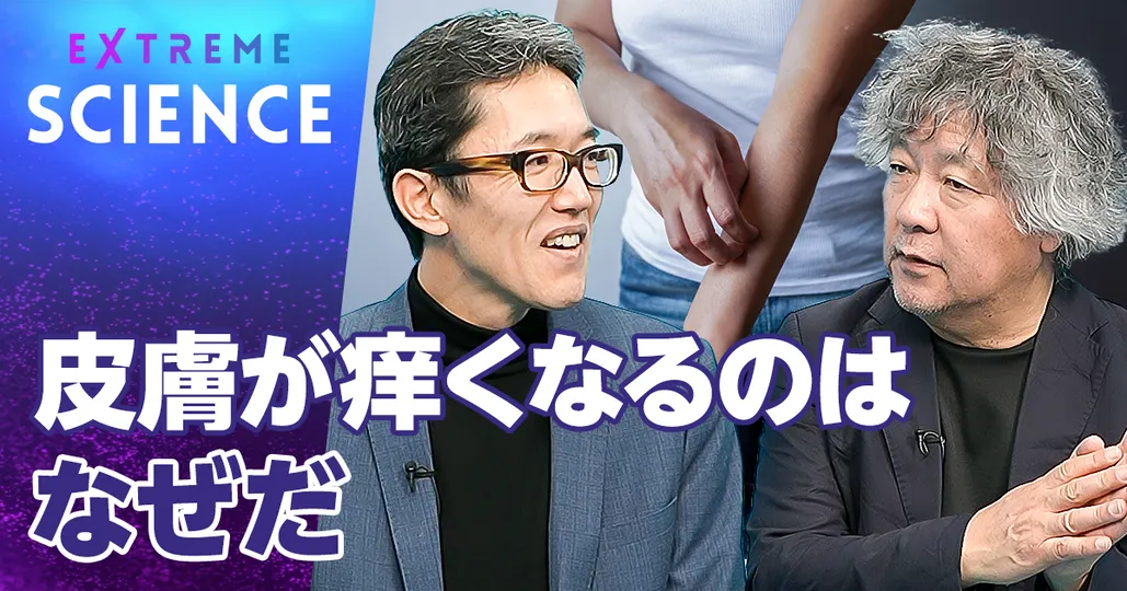 なぜ皮膚は痒くなるのか