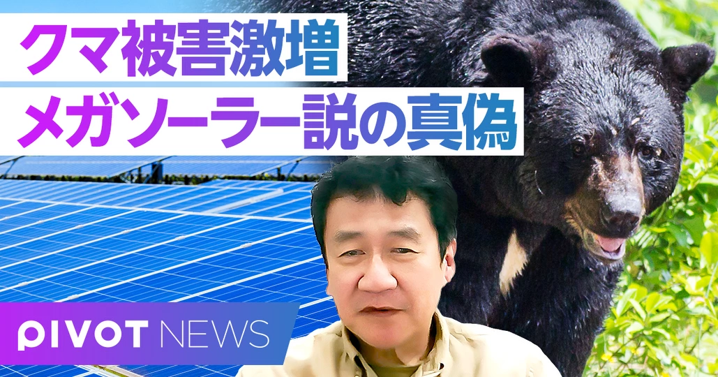 クマ被害急増の真実と東京の危険性