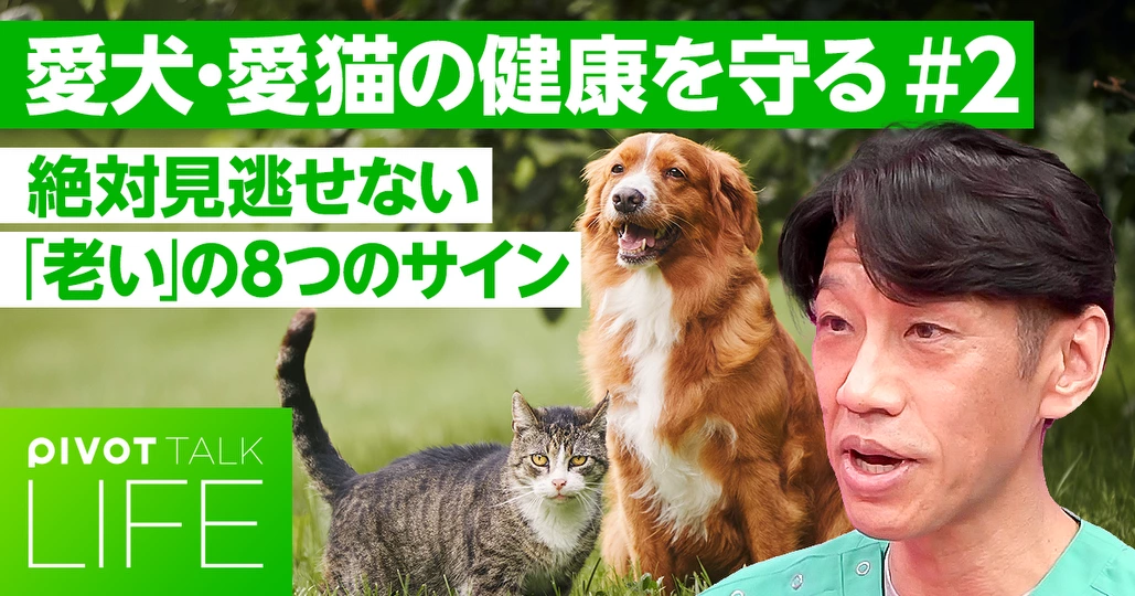 愛犬・愛猫の「老い」の8つのサイン