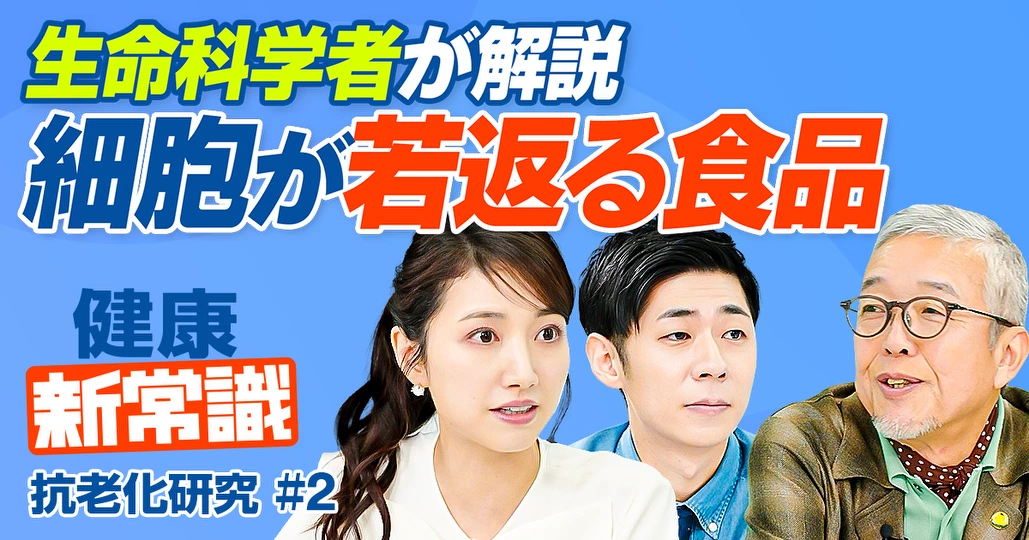 細胞が若返る食品成分/このお茶でオートファジー活性化/生活習慣で促進/オートファジーを低下させる要因